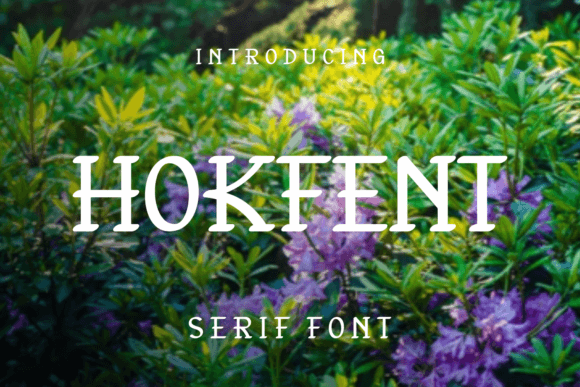 Hokfent Font Review: A Playful Serif for Bold Branding