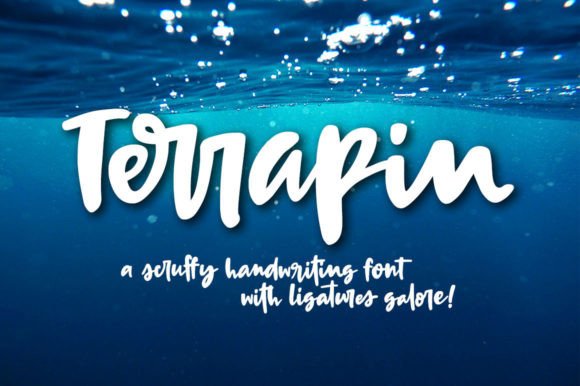 Terrapin Font Review: A Designerβs Take on Script Style