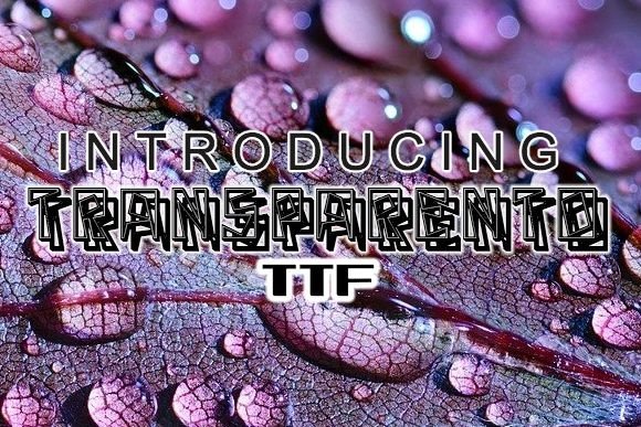 Transparento: A Modern Decorative Typeface for Editorial Design